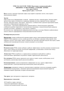 Урок биологии 6 класс: Строение корня
