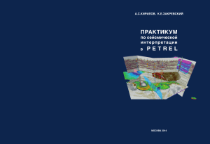 Практикум по петрелю