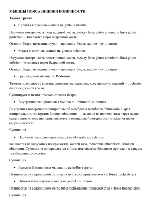 Мышцы нижней конечности: анатомия и функции