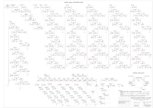 Network Diagram for Stadium Construction Project Plan