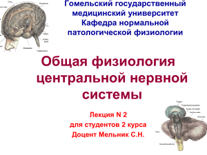 Лекция 2: Общая физиология ЦНС
