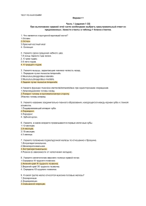 Тест по анатомии: Вариант 1