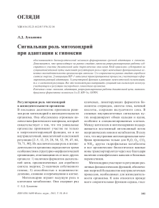 активация HIF сукцинатом