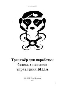 Тренажёр для управления БПЛА: базовые навыки