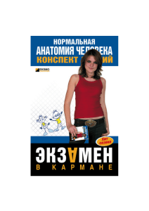 Нормальная анатомия человека: конспект лекций