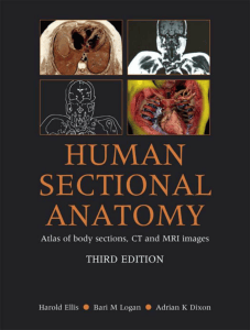 Human Sectional Anatomy Atlas: CT MRI Body Sections