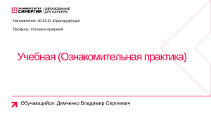 Учебная практика Демченко: Уголовно-правовой профиль