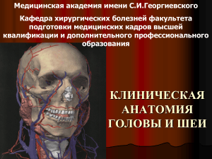 Клиническая анатомия головы и шеи