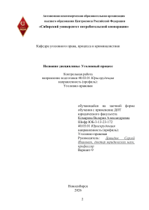 Контрольная работа по уголовному процессу
