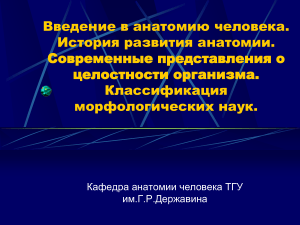 Введение в анатомию человека: история, классификация, основы