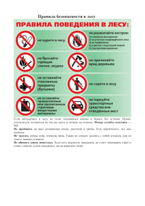 Правила безопасности в лесу