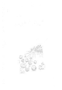 Microscopic Organisms Illustration - Biology Educational Resource