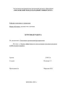 Оценка эффективности трудовых ресурсов в ООО &laquo;Сила Суздаля&raquo;