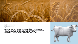 Агропромышленный комплекс Нижегородской области