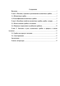 Проект: Грибы шляпочные &ndash; строение, классификация, значение