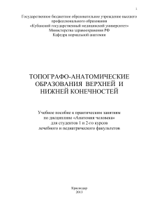 Учебное пособие: Топографо-анатомия конечностей
