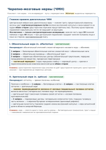 Конспект по черепно-мозговым нервам (ЧМН)