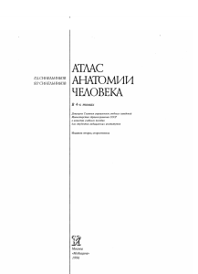 синельников 1 том (анатомия)