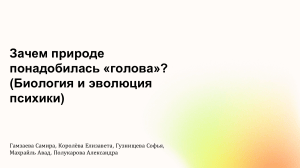 Зачем природе понадобилась &laquo;голова&raquo;? Биология и эволюция психики