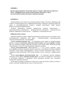 Лекция 4: Органы кроветворения и иммунной защиты